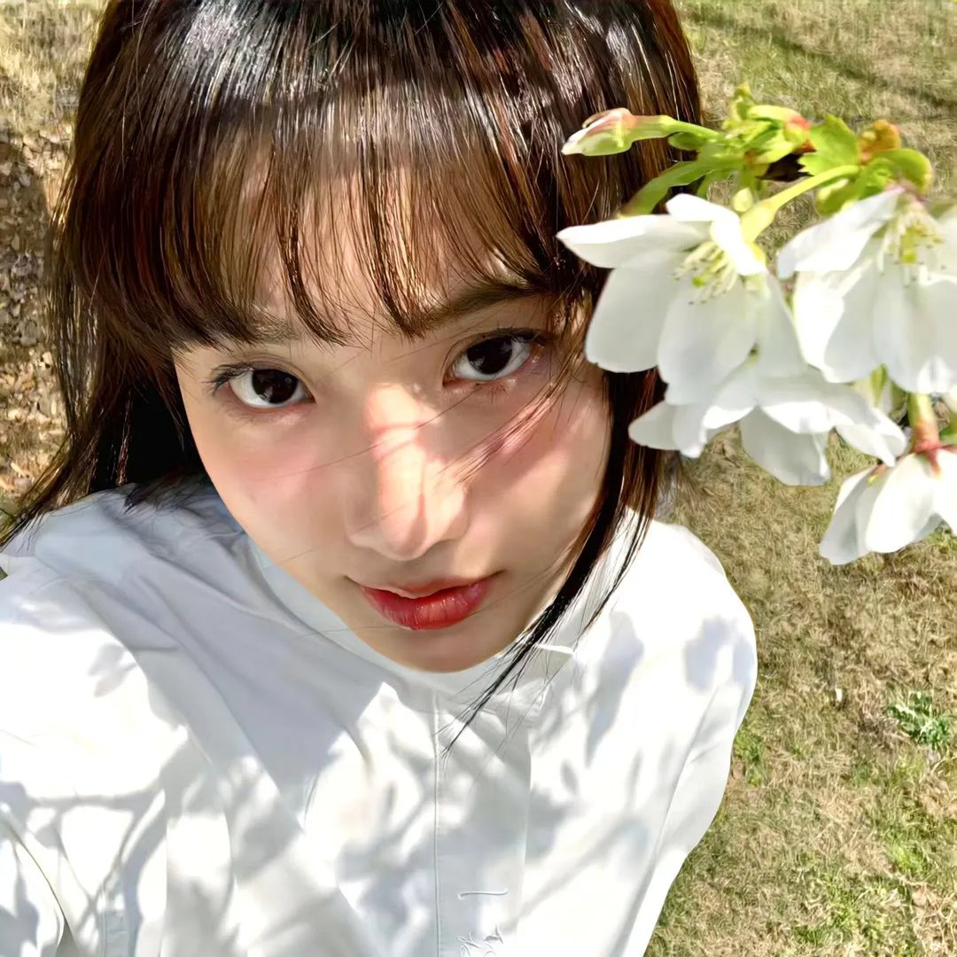 傀儡姬·彼岸花